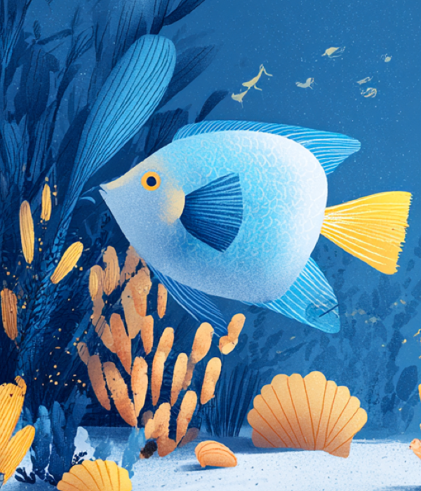 Geheimnisse des Meeres