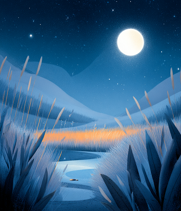 Magie des Mondlichts