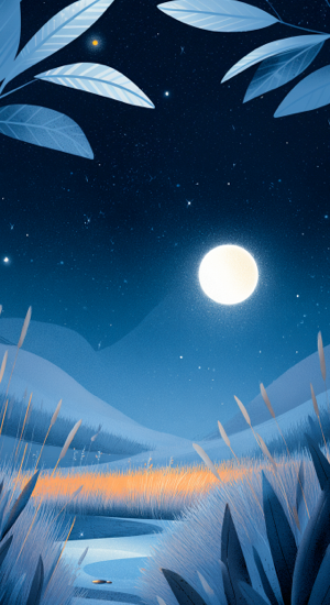 Traumreise Mondlicht