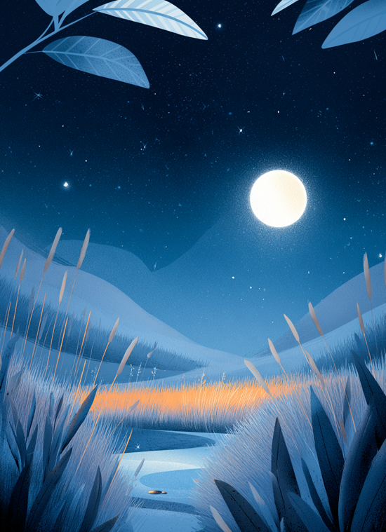 Magie des Mondlichts